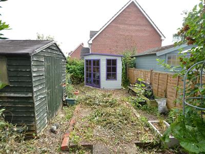 Picture 14
